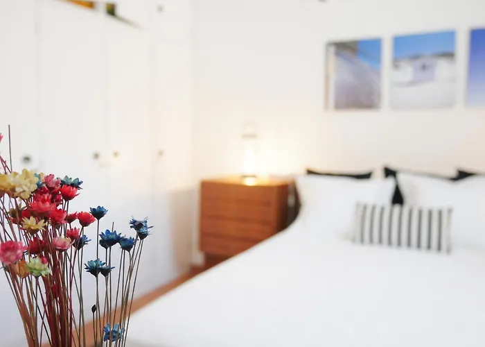 Sitio Cozy